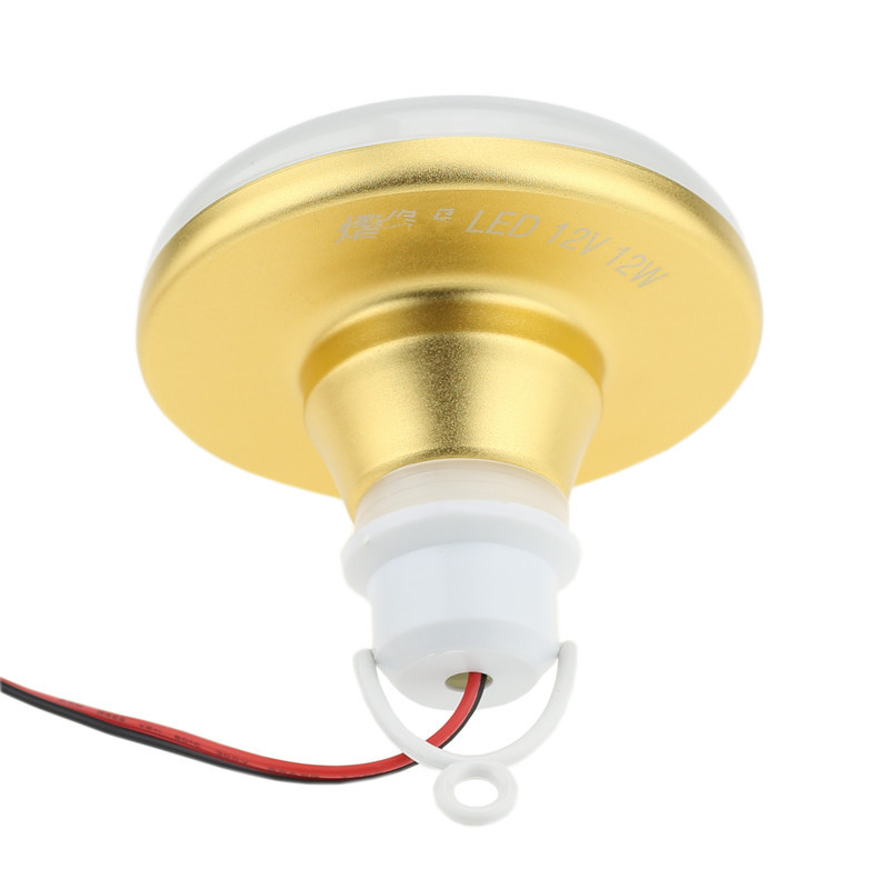 Bombilla LED de 12V a prueba d - Outdoor Lighting Vendor reseña y precio