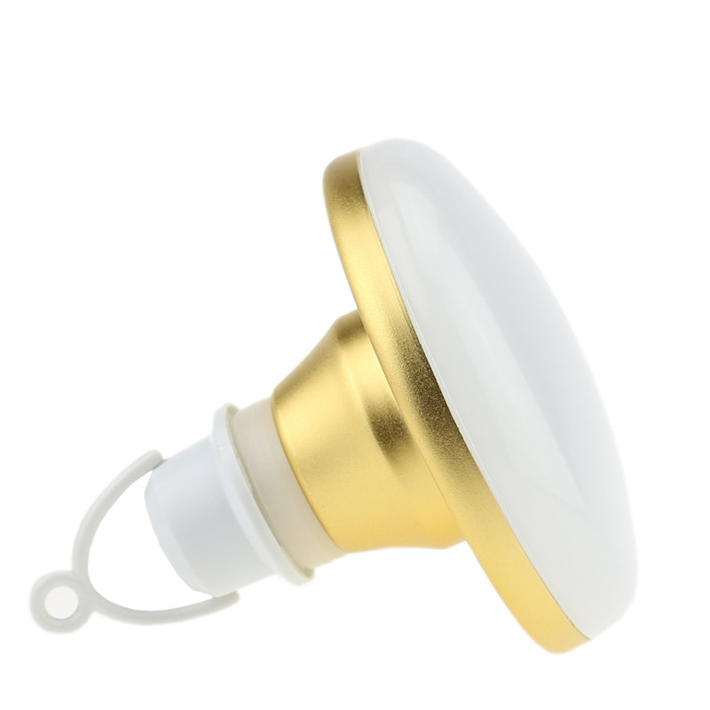 Bombilla LED de 12V a prueba d - Outdoor Lighting Vendor reseña y precio