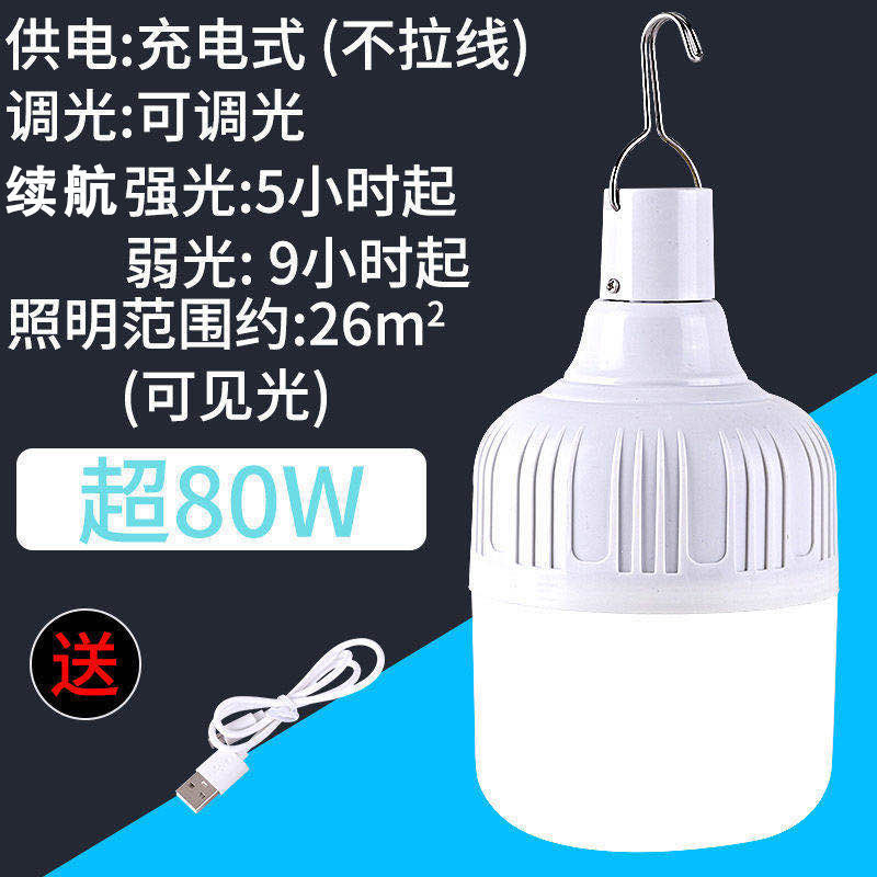 Bombilla LED recargable, luz d - Outdoor Lighting Vendor reseña y precio