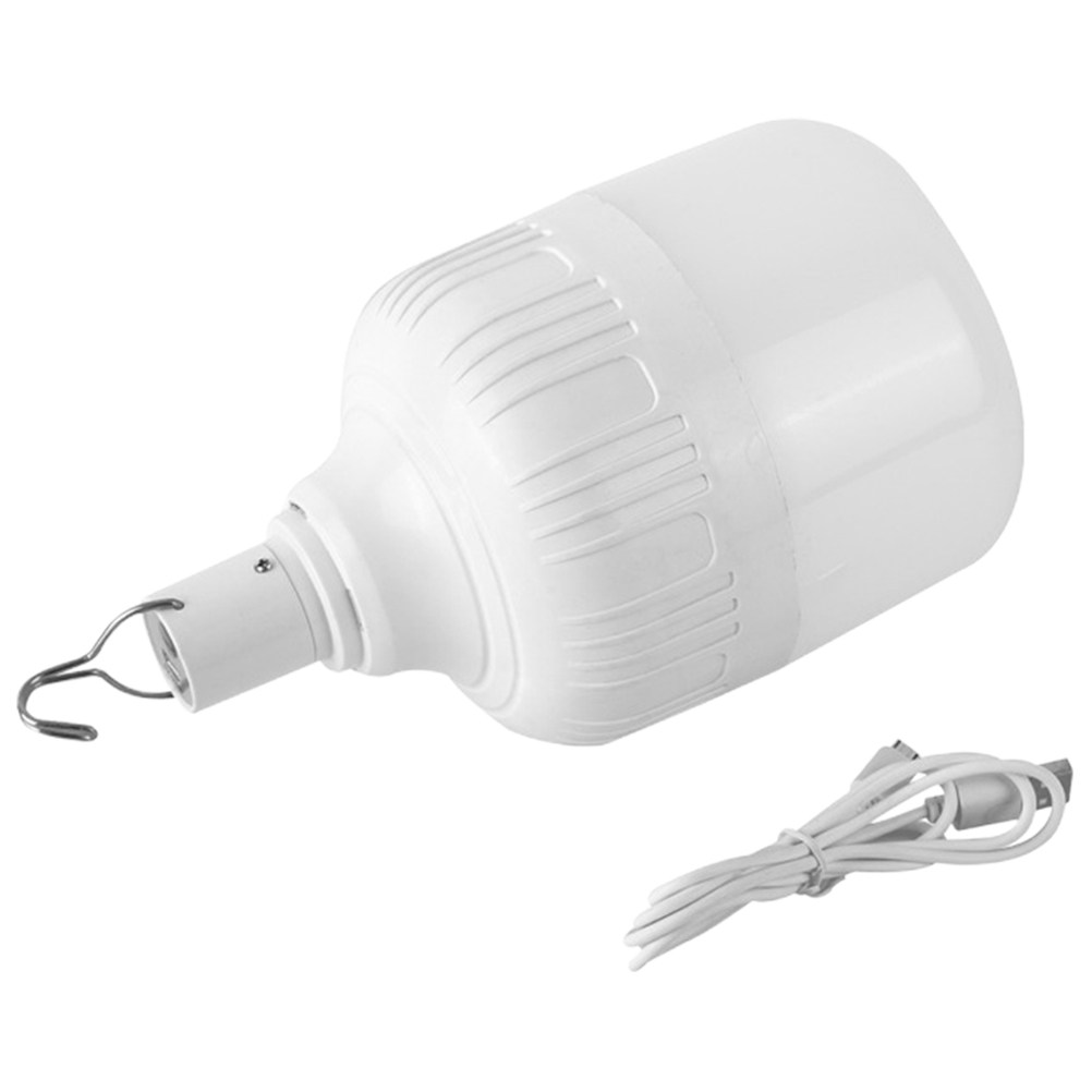 Bombilla LED de Emergencia par - Outdoor Lighting Vendor reseña y precio