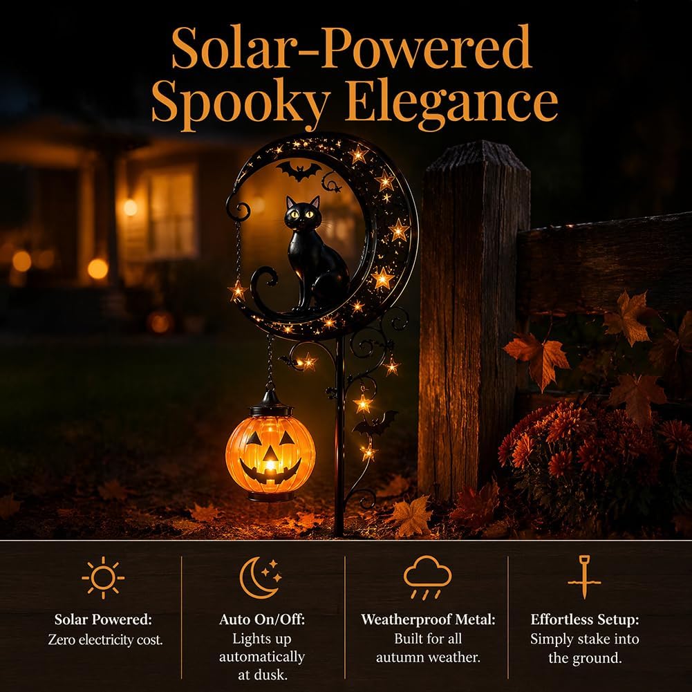 Luz Solar Decorativa para Jard - Outdoor Lighting Manufacturers reseña y precio